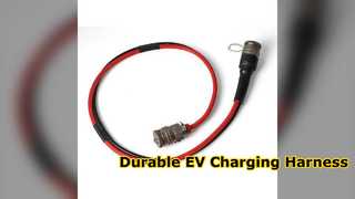 EV Charging Pile Wire Harnesses Durable Silicone Jacket