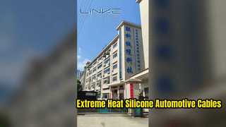 Factory Introduction of Dongguan Lianke Cable Technology Co., Ltd.
