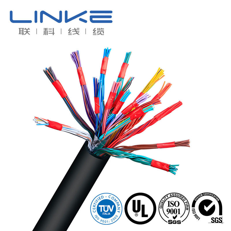 Customization 16 AWG 1 Pair Solid New energy  Cable with PVC Foil Shield and PVC Jacket EV Charger Cable