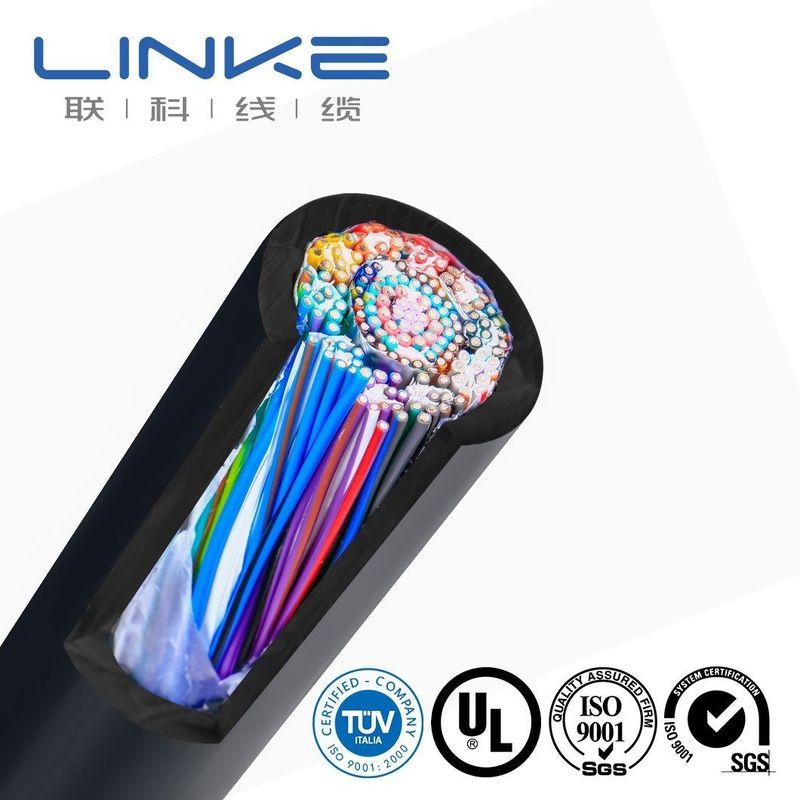 Customized UL2464 Silicone Automotive Cable 300V 80ºC High Temperature Electronic Power Line Wire
