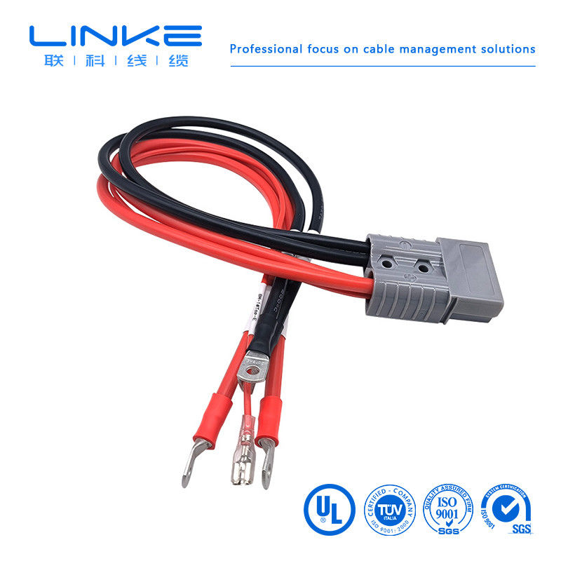 Custom Automotive Wiring Harness with Tinned Copper and 600V Rated Voltage for Auto Electrical Cable Assembly