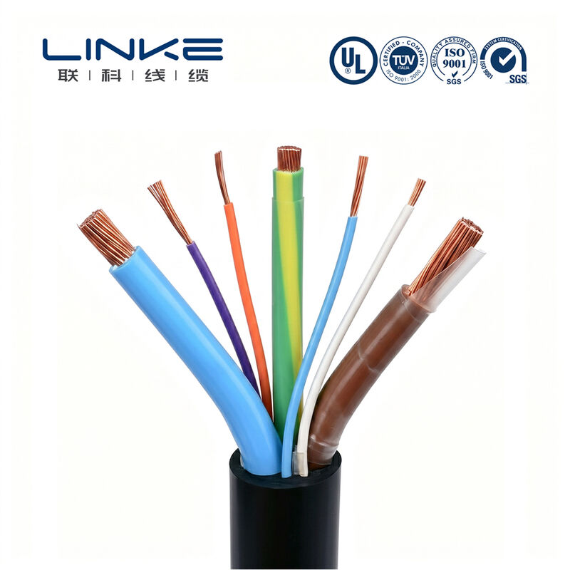 Custom Multi-Core 450/750/1000V Heavy Duty EV Charger Cable for Electric Vehicles