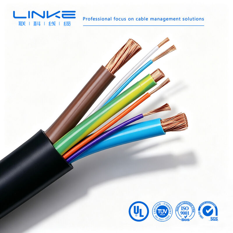 Custom Multi-Core 450/750/1000V Heavy Duty EV Charger Cable for Electric Vehicles