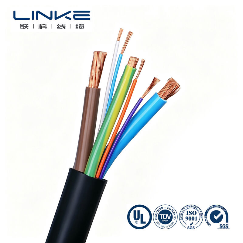 Custom Multi-Core 450/750/1000V Heavy Duty EV Charger Cable for Electric Vehicles